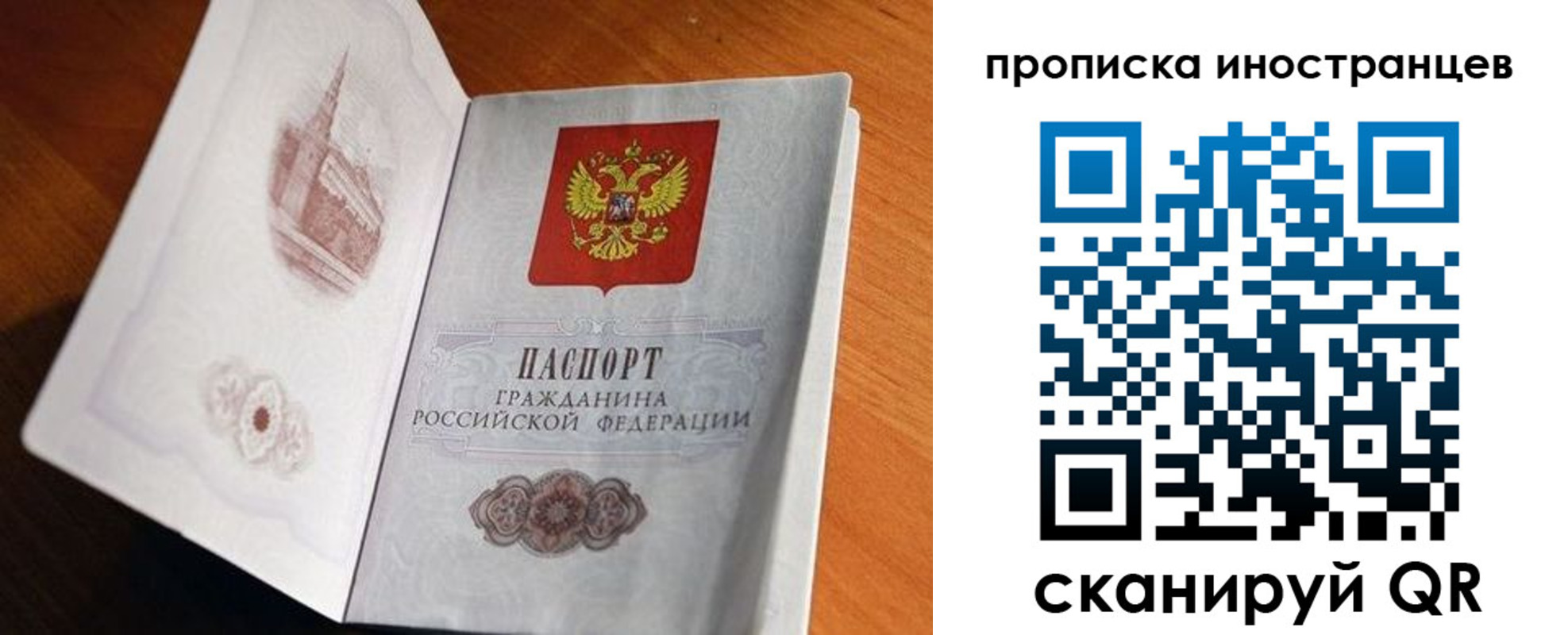 прописка 2025 в Сольцах
