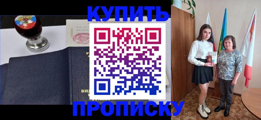 найти адрес прописки в Сольцах